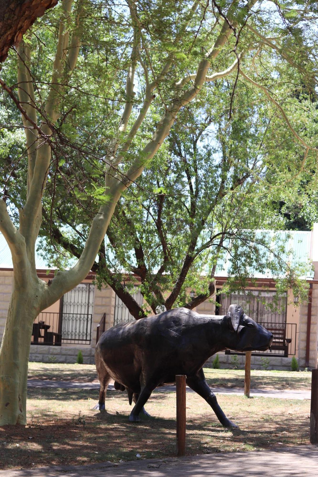 Khaya Africa Guesthouse Midrand Exteriör bild