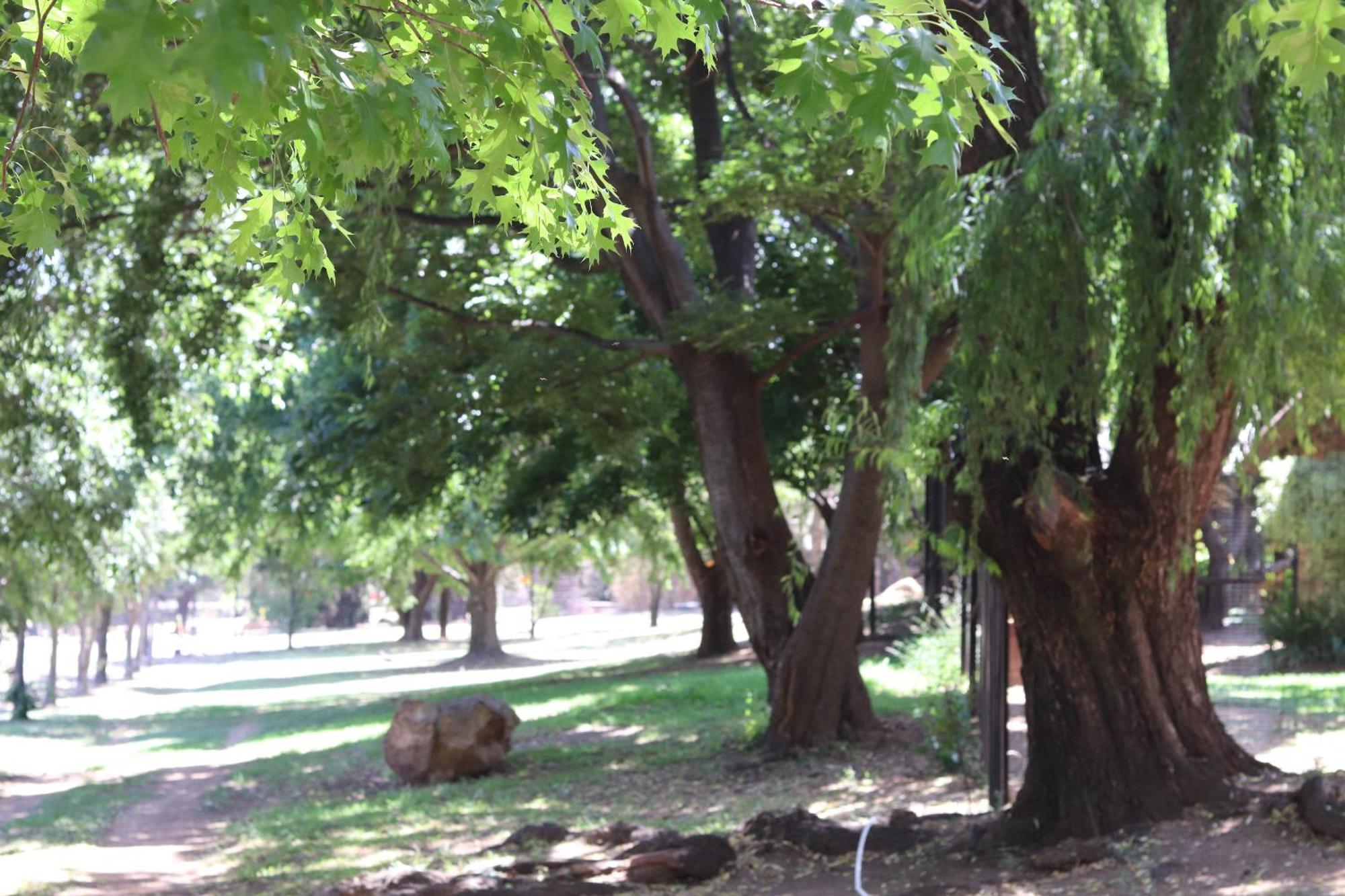 Khaya Africa Guesthouse Midrand Exteriör bild
