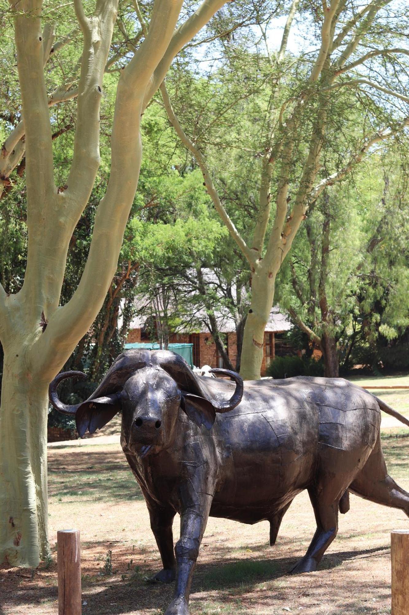 Khaya Africa Guesthouse Midrand Exteriör bild