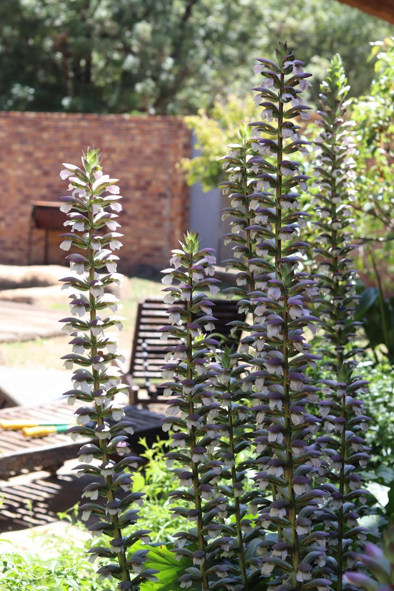 Khaya Africa Guesthouse Midrand Exteriör bild