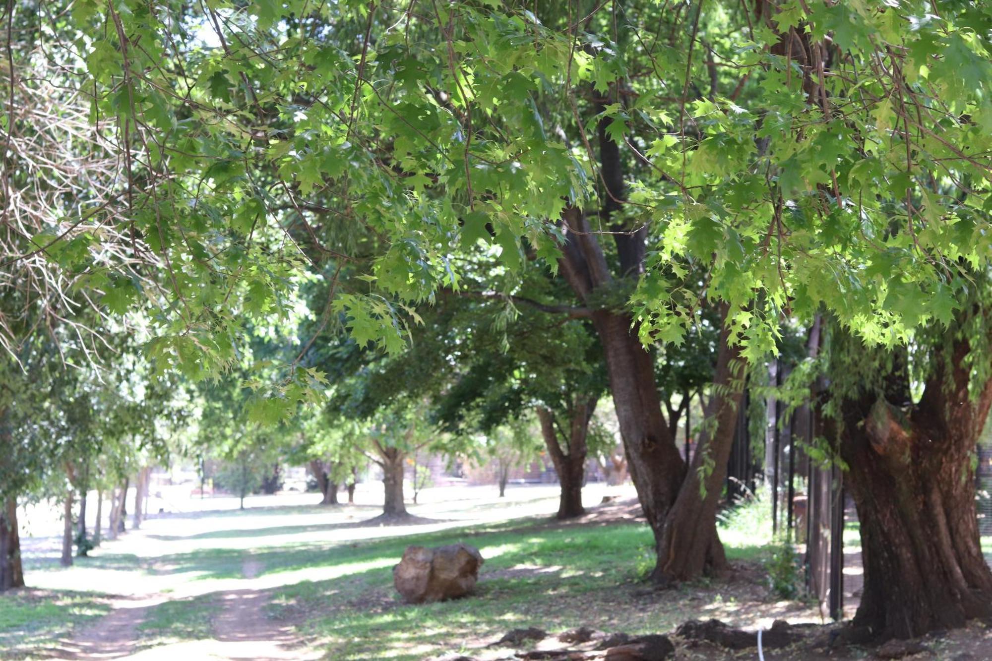 Khaya Africa Guesthouse Midrand Exteriör bild